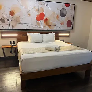 Kavia 5th Avenida (adults Only) Hotel